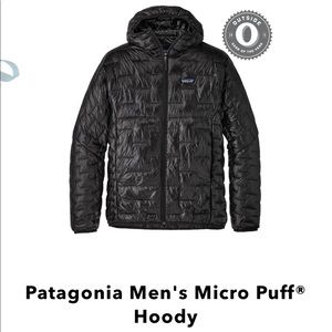 Patagonia Micro Puff Hoody